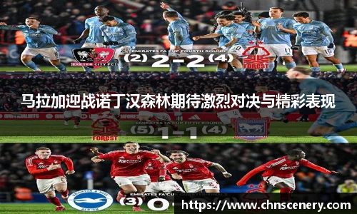 mk体育官网入口